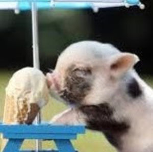 Meet your Posher, Olivia